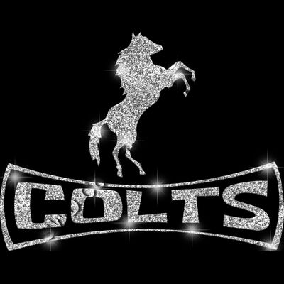 GLT94 SILVER GLITTER Thumbnail