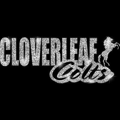 GLT1 SILVER GLITTER Thumbnail